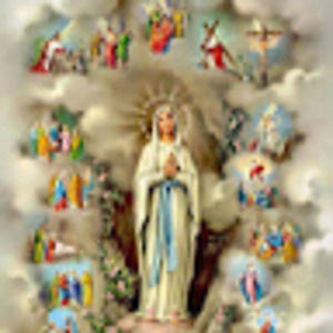 Meet your Posher, Rosalinda